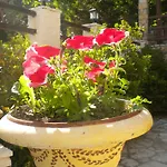 To Patriko Tou Psillou 3*