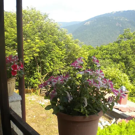 To Patriko Tou Psillou Pensión 3*