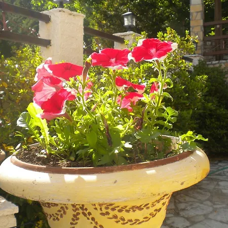 To Patriko Tou Psillou *